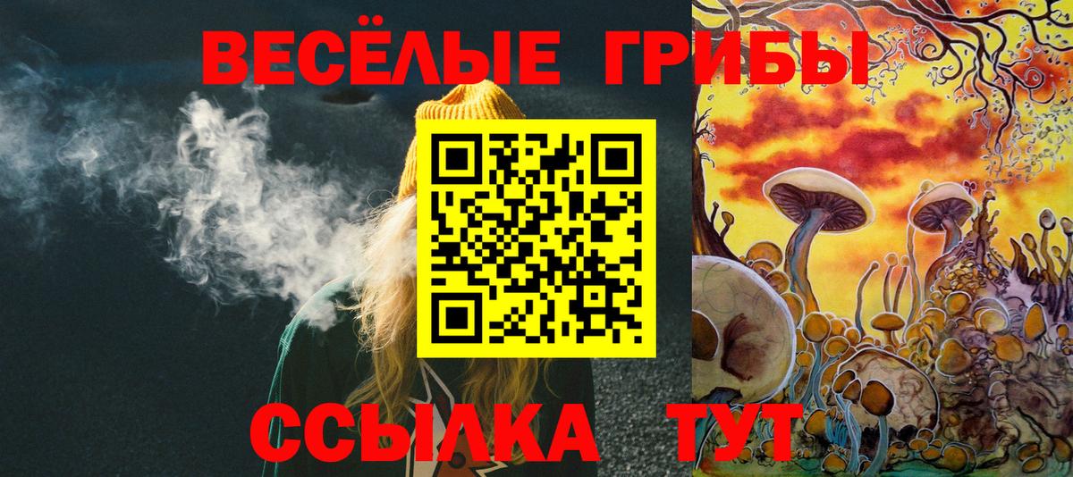купить наркотики сайты  Псилоцибиновые грибы Psilocybe  Вход с VPN  Мыски 