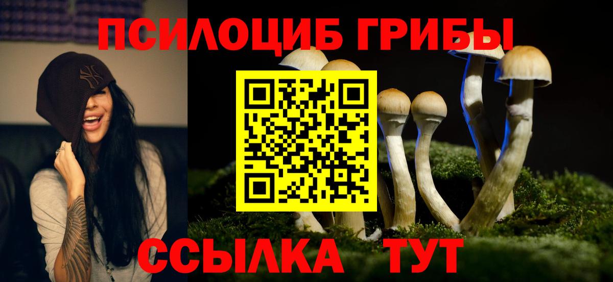 Галлюциногенные грибы мицелий Мыски